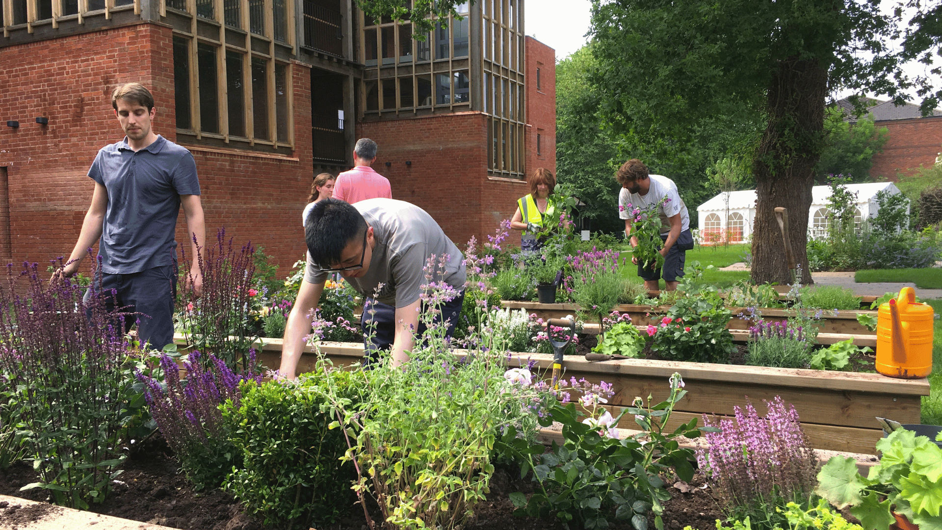 Community-Focused Residential Development